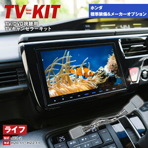�}���\����P10�{�ITV�L�b�g �z���_ �W������ ���[�J�[�I�v�V���� ���C�t JC1�E2 H20.11�`H22.11 �i�r�^�C�v�FHDD 5�s�� ���s����TV������� TV �L�����Z���[ �e���r�L�b�g/TV/DVD �����y�l�R�|�X���著