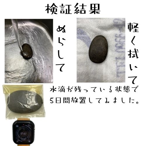 鉄分補給 ザ・鉄玉子 薄型 TRAUM 説明書 付き - メイン画像 5