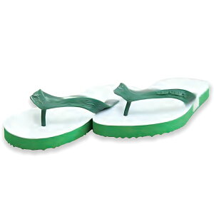 y|Cg10{ yVs̃ubNtCf[-|Cgő47{- z  r[`T_ ɂȂ LbY fB[X SKY WAY