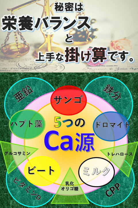 バースデー 記念日 ギフト 贈物 お勧め 通販 スマートバリュー 再生ｏａラベル １２面 箱５００枚 ａ２２６ｊ ５ Fucoa Cl