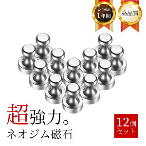 }Olbg s  [ tbN Vo[ 12Zbg   킢 Vv Magnet Pin lIW lIWE tbN Vv k CeA [ ֗ObY Lb