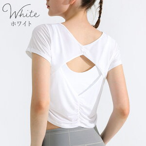 y250OFFN[|ztBbglXV[gTVc K KEFA TVc gbvX   Nbvh seBX X|[c tVc 킢  W EFA zbgK 