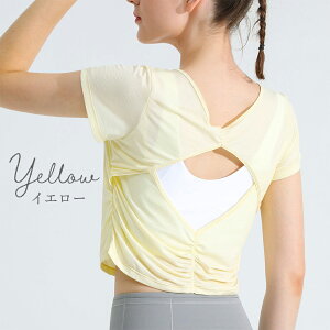 y250OFFN[|ztBbglXV[gTVc K KEFA TVc gbvX   Nbvh seBX X|[c tVc 킢  W EFA zbgK 