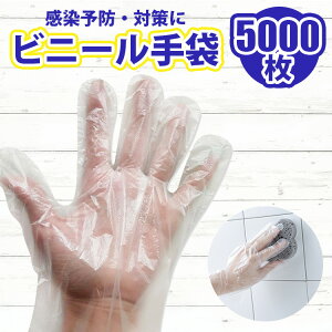 ĝĎ 5000 ݌ɂ [ ECX Lb` | 􂢕 M  rj[ HiH |  ECX\h 