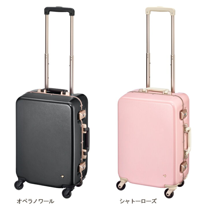 楽天市場】【SALE】【機内持ち込み】エース(ACE)HaNT/ハント 