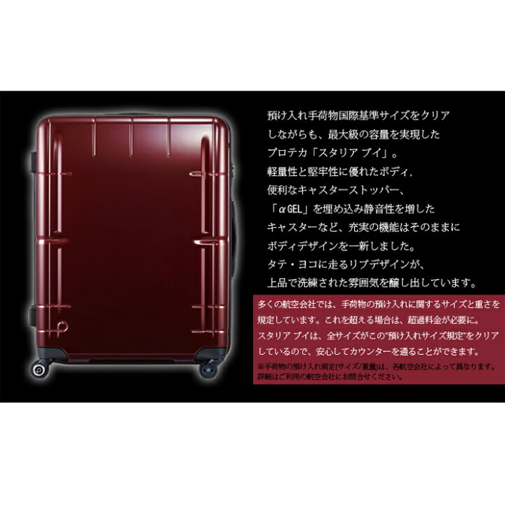 楽天市場】【送料無料】 エース プロテカ ACE PROTECA スタリアV 56cm 