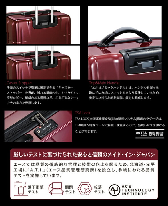 楽天市場】【送料無料】 エース プロテカ ACE PROTECA スタリアV 56cm 