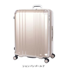 yוaőTCYzyzAWAQ[W fJEdgeg^Cv ALI-089-102 102L/120L X[cP[X g@\ y 10ȏ e ^ i L[P[X L[obO L