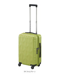 yVizy@݁z{ G[X(ACE) PROTECA/veJ R[[2 X[cP[X Wbp[^Cv 35L 01481 100Ȉȏ(s 23 É L[obO L[P[X rWlX o