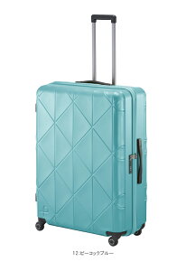 yVizy10ȏΉz{ G[X(ACE) PROTECA/veJ R[[2 X[cP[X Wbp[^Cv 126L 01485 as ( L[P[X L[obO L[obN L[ g