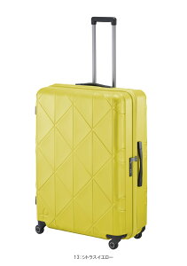 yVizy10ȏΉz{ G[X(ACE) PROTECA/veJ R[[2 X[cP[X Wbp[^Cv 126L 01485 as ( L[P[X L[obO L[obN L[ g