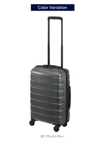 yVizy@݁zyz{ G[X(ACE)PROTECA/veJ GAtbNXDX2 X[cP[X { 35L 2.1kg 01521
