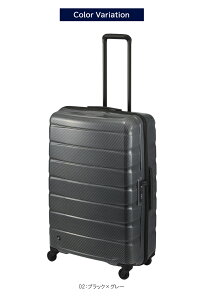 yVizy10ȏΉzyz{ G[X(ACE)PROTECA/veJ GAtbNXDX2 X[cP[X { 100L 3.6kg 01524 ( L[P[X L[obO L[obN gN