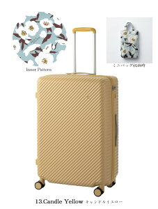 yVizy5-7zG[X HaNT^ng RRg X[cP[X X^_[h^Cv 75L 05515 LX^[Xgbp[t ~jobOt ( L[P[X L[obO fB[X  