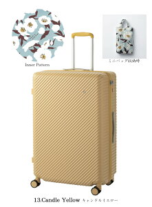 yVizy7-10zG[X HaNT^ng RRg X[cP[X X^_[h^Cv 97L 05516 LX^[Xgbp[t ~jobOt aוKTCY ( L[P[X L