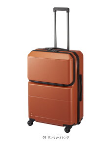 y5-7Ήz ACE PROTECA^veJ |PbgCi[2 X[cP[X 74L 01343 LX^[Xgbp[ { tgI[v