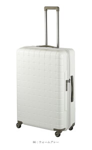 y7-10ΉzACE PROTECA^veJ 360G4 X[cP[X 100L 02424 { Wbp[L[ X[VbNXeBG4 aו