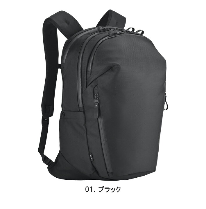 楽天市場】【新商品】【送料無料】エース(ACE) ace.ラグマスター 