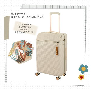 yVizyzy4-5̗ɁzG[X(ACE) HaNT/ng wCwC Hejhej X[cP[X 05182 Wbp[L[ 70L LX^[Xgbp[t gbvI[v ( L[obO L[P