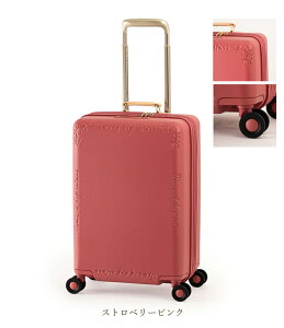 �A�W�A���Q�[�W VIOLA �X�[�c�P�[�X VO-111-18W �N���[���z���C�g 36L�`44L