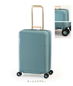 y@݁zyzA.L.I AWAQ[W VIOLABI X[cP[X VO-111-18W e36(44)L ( Wbp[L[ eʊg y s y g g@\t Â É |J[{