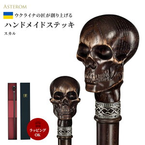  AsteromiAXejXebL ENCi jp   y XJ^hN ؐ  Ep[eBERXvE̓Eav[gEhV̓EMtgE