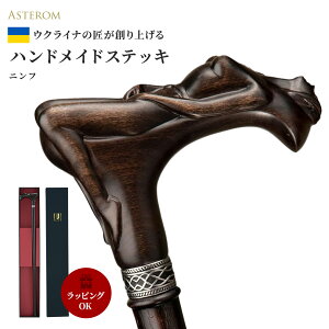  AsteromiAXejXebL ENCi jp   y jt ؐ  Ep[eBERXvE̓Eav[gEhV̓EMtgELOʐ^