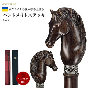  AsteromiAXejXebL ENCi jp   y n ؐ  Ep[eBERXvE̓Eav[gEhV̓EMtgELOʐ^̎B