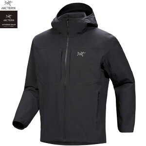 yKizyK戵XzARC'TERYXiA[NeNXj/000009905 GAMMA HOODY MENSiK}t[fBj/black