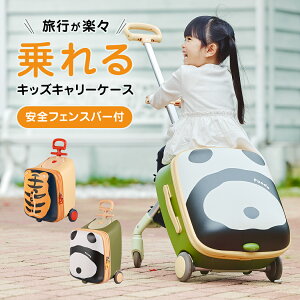 Fun luggage t@QbWiKC-48j qpX[cP[X LbYL[P[X L[obO t@Xi[^Cv   ^LX^[ lC 킢 Aj} p_ ^CK[ 30L 
