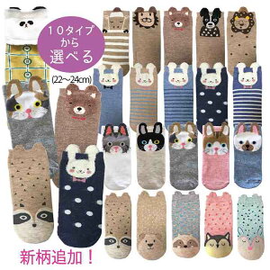 C LbY fB[X LN^[\bNX y5Zbgz Zbg  C C Aj} \bNX Aj}C  zCgf[ Mtg LbY p_  lR  Ђ 