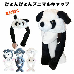 nEB ߑ HALLOWEEN  Aj} Xq yXqz Aj}Xq ς AUV IIJ~ ]E  T nXL[ L p_ Ԃ 蕨 ҂҂   Xq 