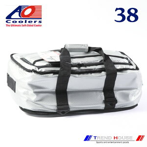 AON[[38 AO Coolers 38PACK CARBON STOW-N-GO SILVER / AON[[Y J[{ Xg[S[ \tgN[[ 38pbN Vo[ AO COOLERS/AOCRSNGSL