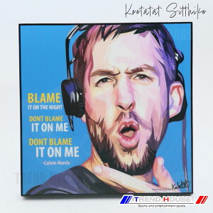 2���ő������� �|�b�v�A�[�g�p�l�� �J�����B�� �n���X CALVIN HARRIS Keetatat Sitthiket �L�[�^�^�b�g �V�e�B�P�b�g �C���e���A�G��