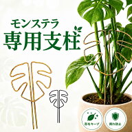 モンステラ 支柱 観葉植物 ガーデニング 園芸 ワイヤー 成長サポート 垂れ防止 簡単設置 シルエット 整え…