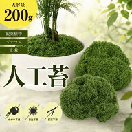 フェイクモス 人工苔 苔フェイク ジオラマ 草フェイク グリーン 観葉植物 大容量 200g 盆栽 造花 DIY 装…