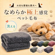 【9/20 23:59まで★20%OFF】 犬 ブランケット 毛布 ペット 猫 噛んでも 破れ ない 薄手 犬用 ドッグ キャ…