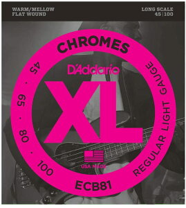 yVizyKizD'Addario __I ECB81 Long Scale OXP[ 45-100 x[X