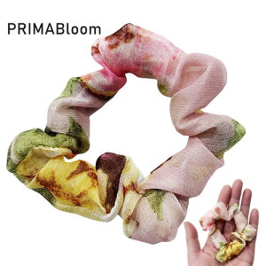 ԕVtHVVij PRIMABloom| nhChyv}Eu[z{ wASyWjAEqzoGpi|