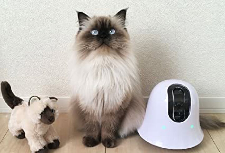 楽天市場】ilbo イルボ 移動式お留守番カメラ Wi-Fi接続 スマホ 