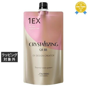  NX^CWO L[ EX fUCNG[^[n 400g | { ňlɒ SHISEIDO p[}t