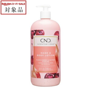 yő4500~N[|z NGCeBulCfUCiCND) ZZ[V nh{fB[V ubN`F[icO 917ml | Creative Nail Design {fB[V