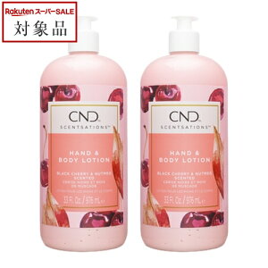 yő4500~N[|z NGCeBulCfUCiCND) ZZ[V nh{fB[V ubN`F[icO 917ml x 2 | Creative Nail Design {fB[V