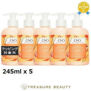 yő4500~N[|z NGCeBulCfUCiCND) ZZ[V nh{fB[V ^WFOX 245ml x 5 | Creative Nail Design {fB[V 