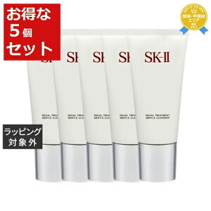  GXP[c[iSK-II^SK2j tFCVg[ggWFgNU[ 5Zbg 120g x 5 | tH[ ܂Ƃߔ