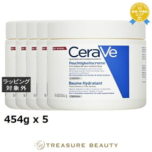  ZB CX`CWO N[ ihC/x[hCj 5Zbg 454g x 5 | { CeraVe {fBN[ ܂Ƃߔ