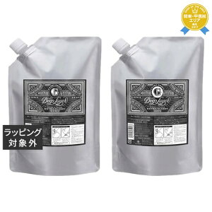  fB[vC[ fB[vC[ ExG Vv[ +g[ggZbg lߑւp 750g+750ml | Deep Layer RfBVi[
