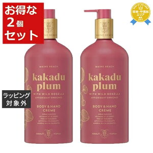  }Cr[` nh&{fB[[V JJhDv 2Zbg 500ml x 2 | MAINE BEACH {fB[V