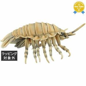  nT _CIEO\NV W24×H13×D37cm | HANSA 