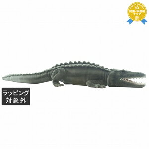  nT CGj W64×H20×D130cm | HANSA 